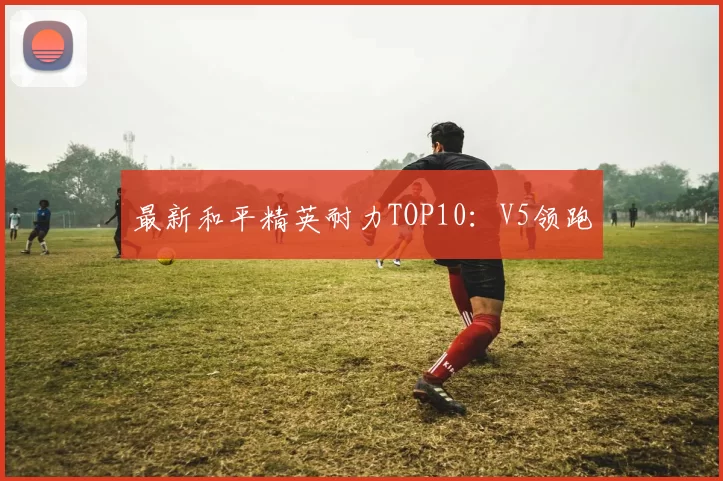 最新和平精英耐力TOP10：V5领跑